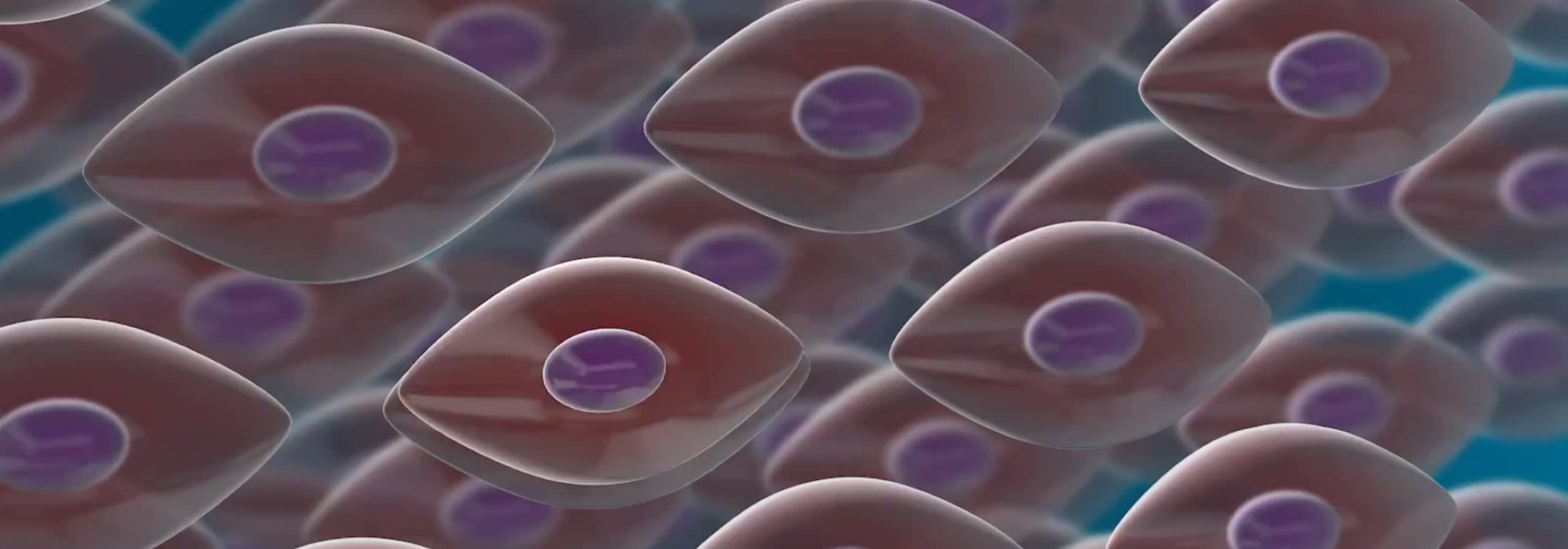 Stem cells procedure desktop